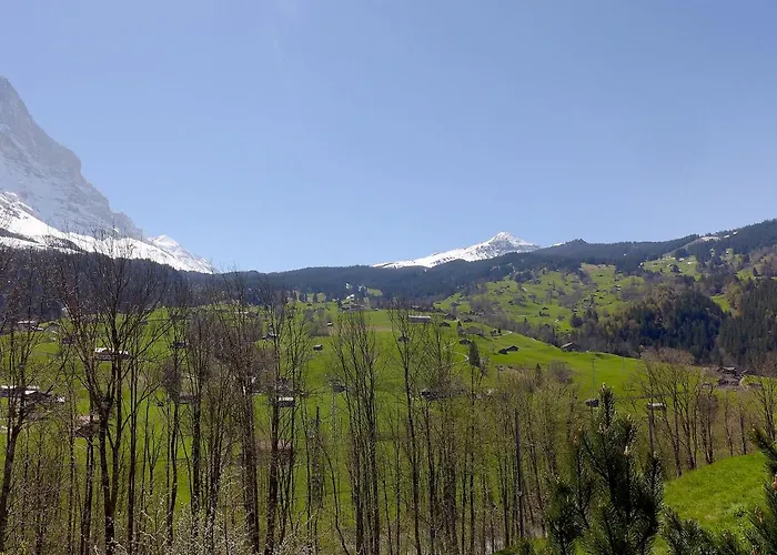 Eiger-2 By Interhome Lägenhet Grindelwald