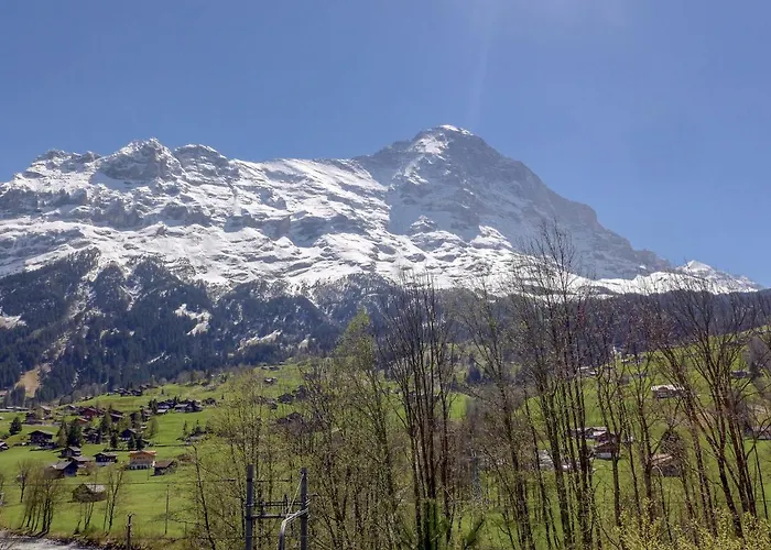 Lägenhet Eiger-2 By Interhome *