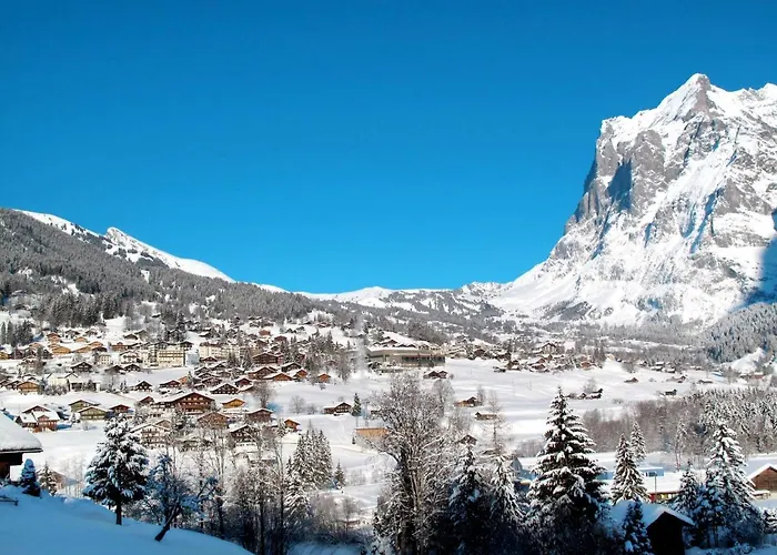 Lägenhet Eiger-2 By Interhome Grindelwald